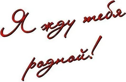 Годы он приезжает в родную