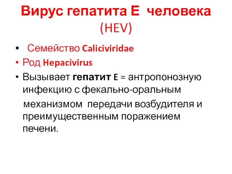 Гепатит а и е. Вирус гепатита е. Вирус гепатита а семейство. Характеристика вируса гепатита е. Вирус гепатита е семейство.