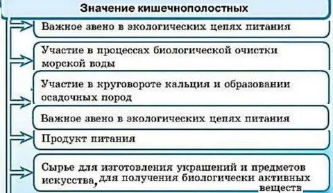 Значение кишечнополостных в жизни человека 8 класс