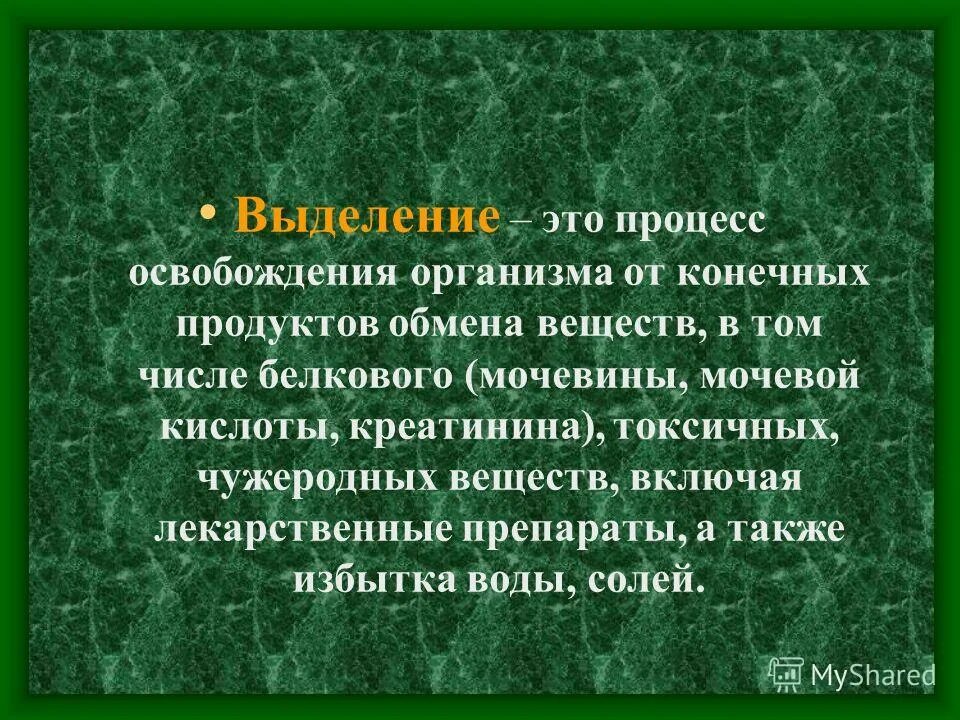 Удаление конечных продуктов жизнедеятельности направлено на. Процесс выделения. Выделение это процесс освобождения организма от. Выделение продуктов обмена веществ.