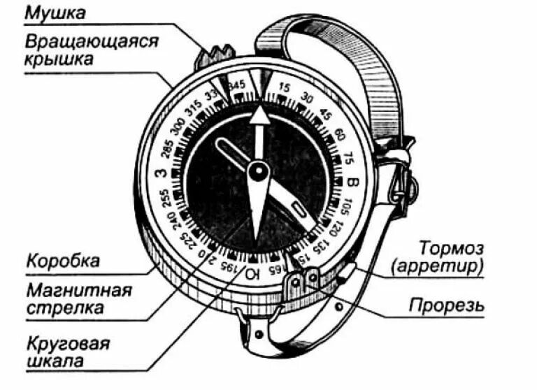Как называется бумажный диск у магнитного компаса