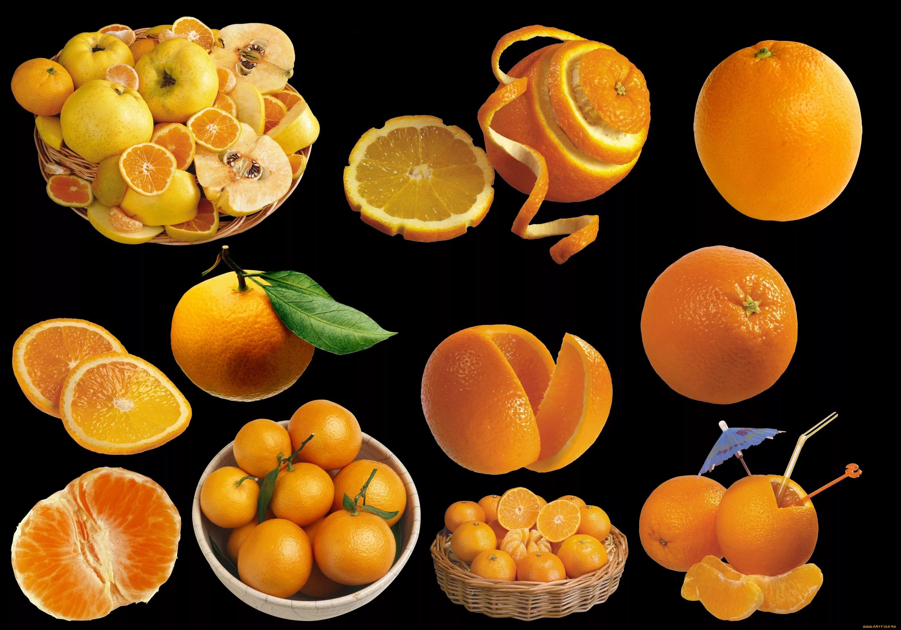 Цитрус фрукты. Разнообразие цитрусовых. Цитрус фрукты названия. Название цитрусовых плодов. Фруктово цитрусовый