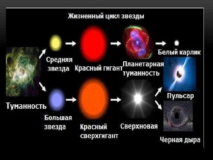 Красный гигант и белый карлик. Жизненный цикл звезды схема. Жизненный цикл белого карлика. Красный карлик Эволюция звезд.