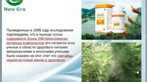 Blndr новая эра