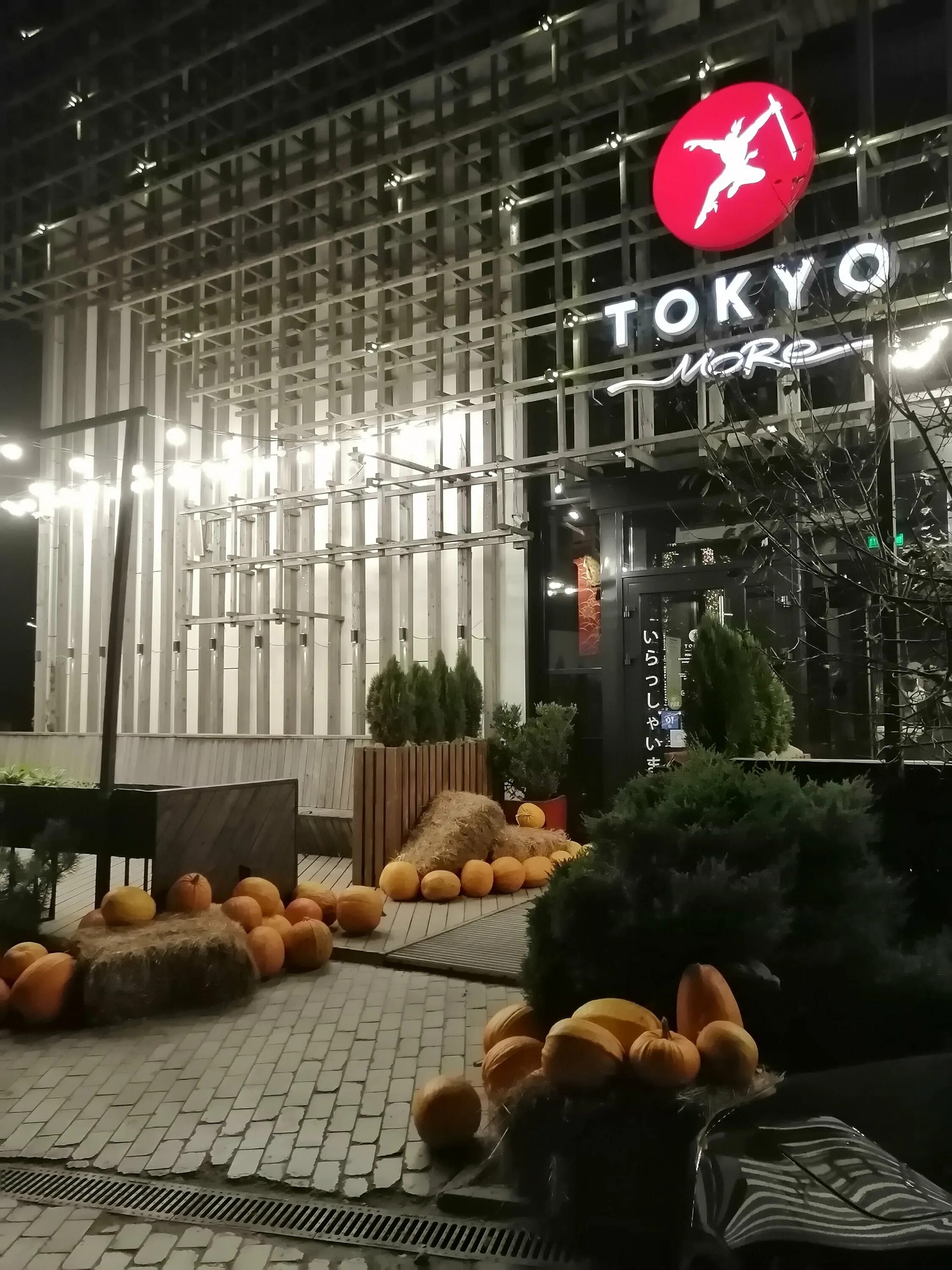 Tokyo more ул лейтенанта бурачка 1б. Tokyo more ул лейтенанта бурачка 1б. Tokyo more ул лейтенанта бурачка 1б. Tokyo more ул. Tokyo more ул лейтенанта бурачка 1б.