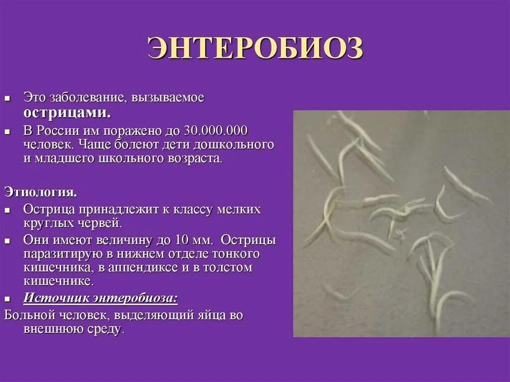 Через энтеробиоз. Энтеробиоз возбудитель инфекции. энтеробиоз острицы у детей. энтеробиоз характерные клинические проявления. энтеробиоз у детей симптомы.