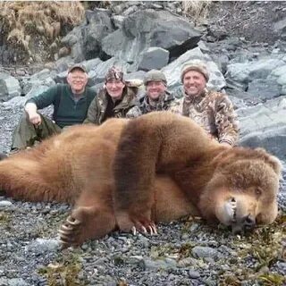Медведь самое большое животное
