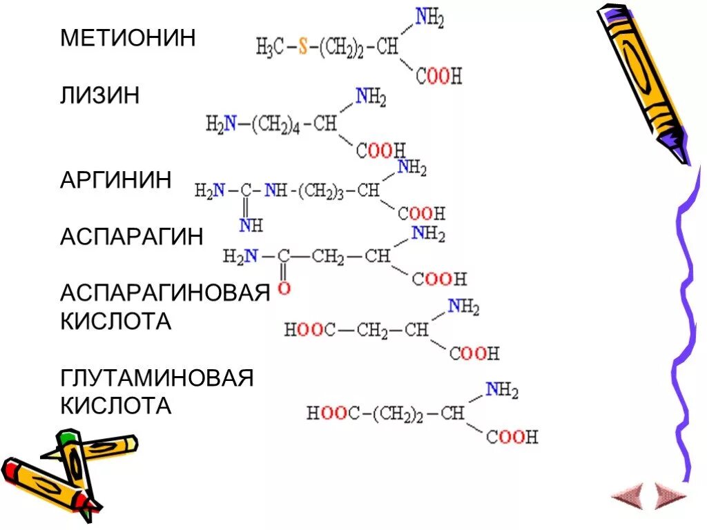 лизин пролин тирозин трипептид. лизин схема. гистидин ph. лизин пептид. лизин аргинин гистидин.