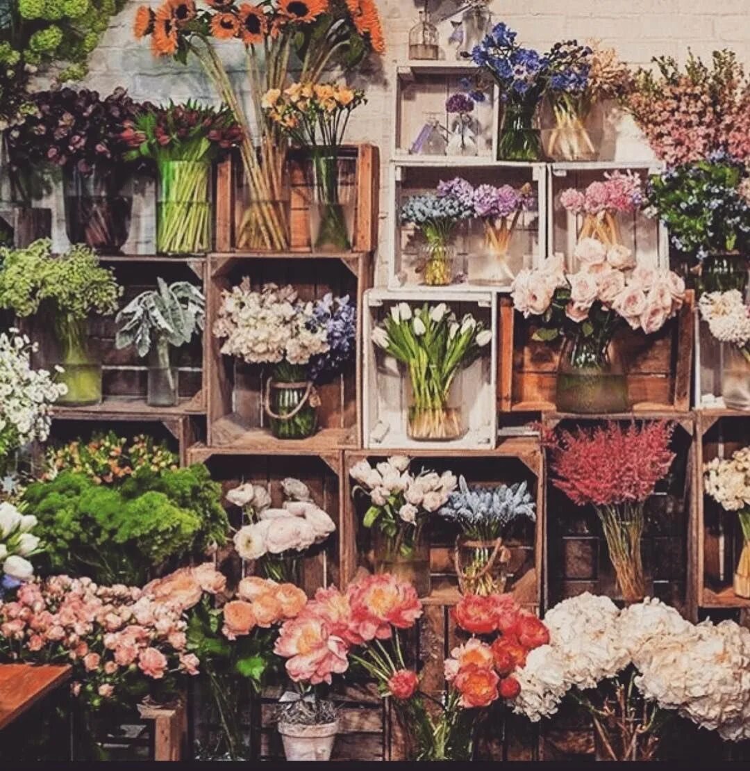 Цветочный магазин растения в горшках. Витрина цветочного магазина. Цветы на витрине. Красивая витрина с цветами. Красивые витрины цветочных магазинов.