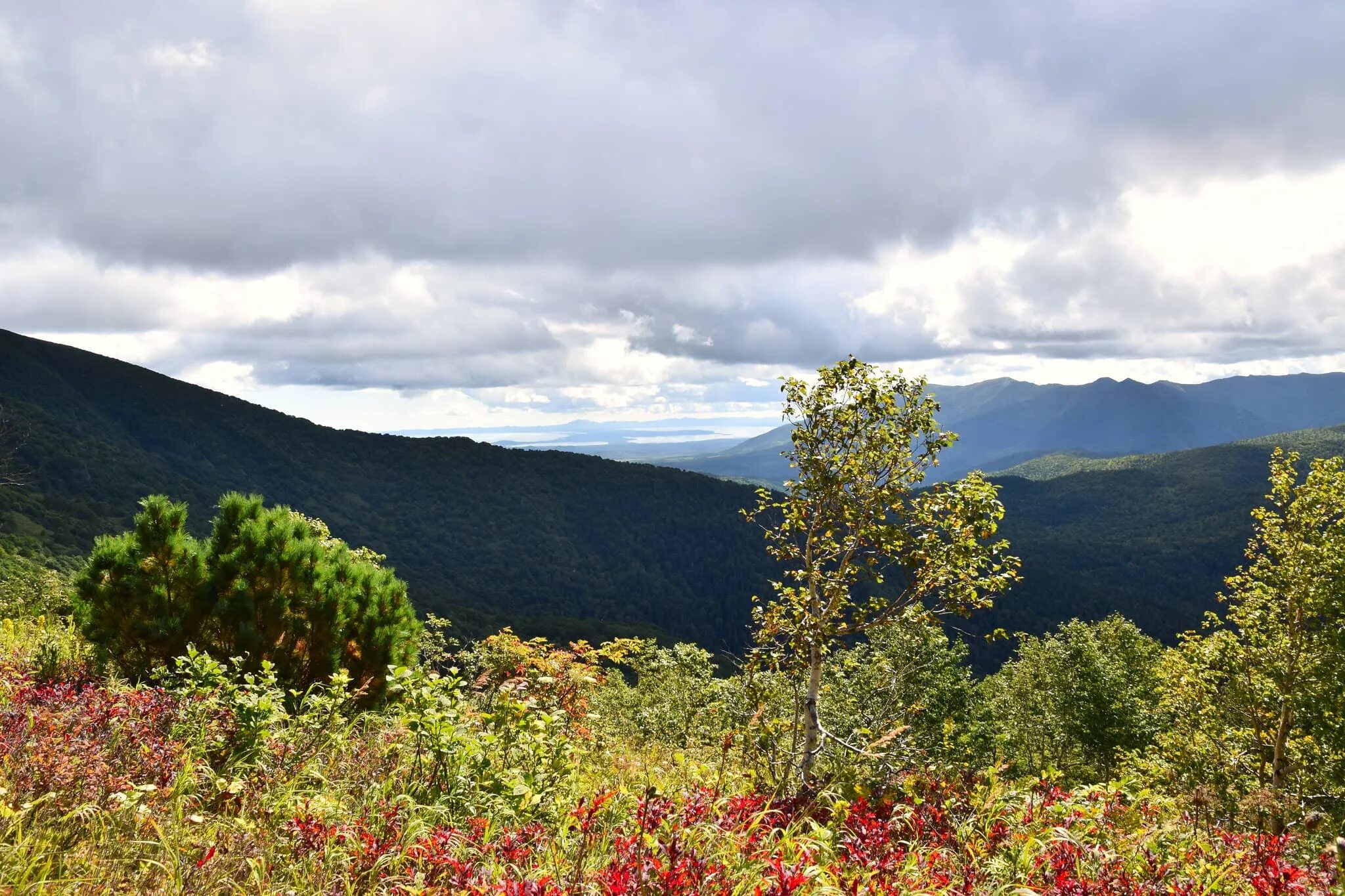 Южно-сахалинск осенью сопки. Южно-сахалинск горы сопки. Южно-сахалинск сопки горы сахалин. Сусунайский хребет сахалин. Остров сахалин дальний восток.