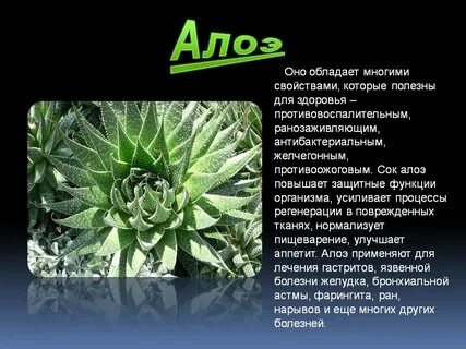 Описание ала