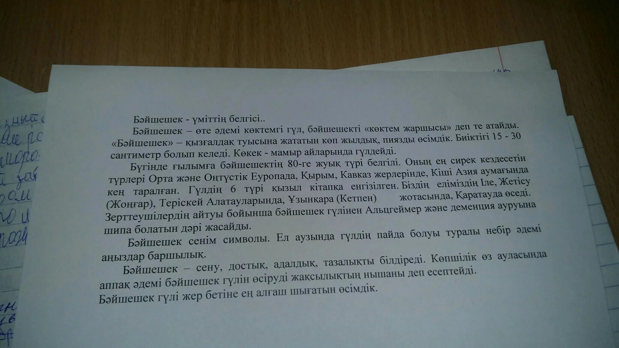 Сочинение по теме язык. Сочинение на казахском. сочинение о казахском языке. эссе. сочинение 4 класс.