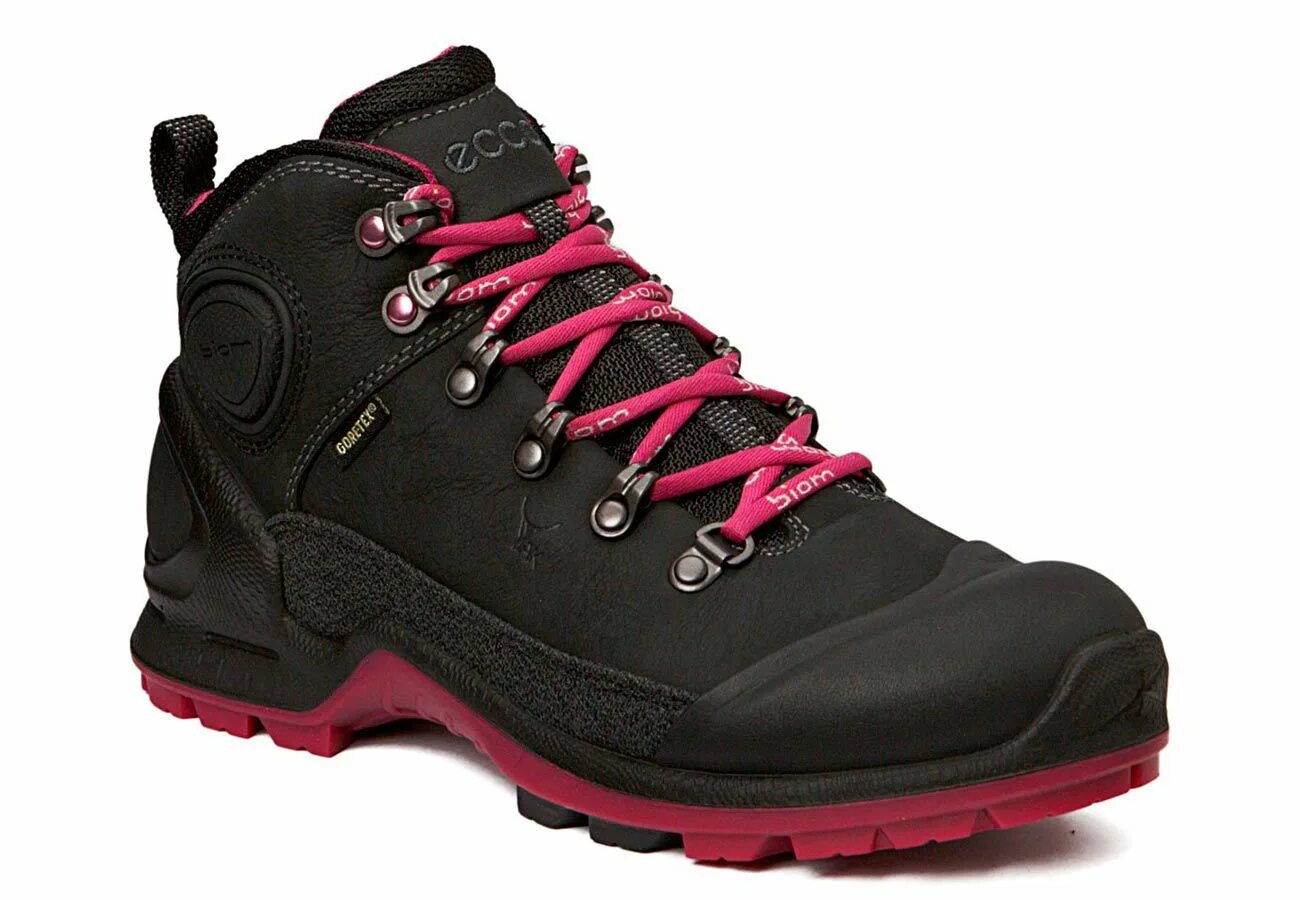 Ботинки ecco. Ecco Biom Terrain. Ecco Biom Terrain 2020. Ecco Biom Terrain Akka boa GTX. Ecco Biom Terrain Akka boa.