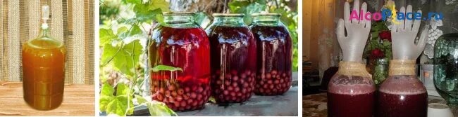 Как сделать вино из компота. Как сделать вино из компота