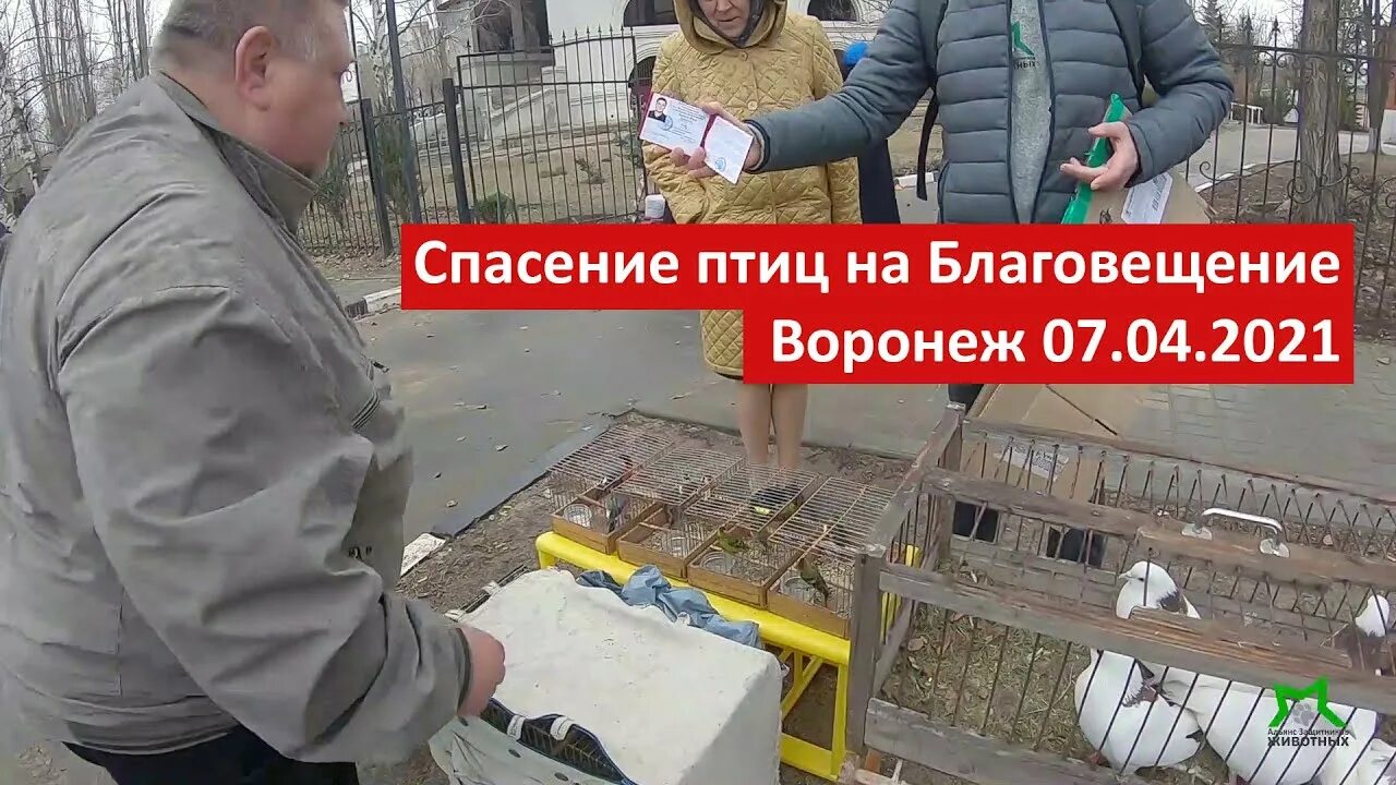 Девочки поможете спасти птицу отпугнув