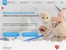Ветсемья ветеринарная отзывы