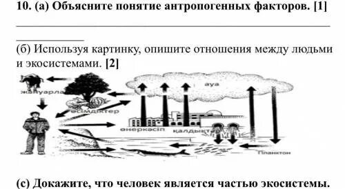Выберите пример антропогенного фактора Показатели загрязненности почв и экологического неблагополучия агроэкосистемы