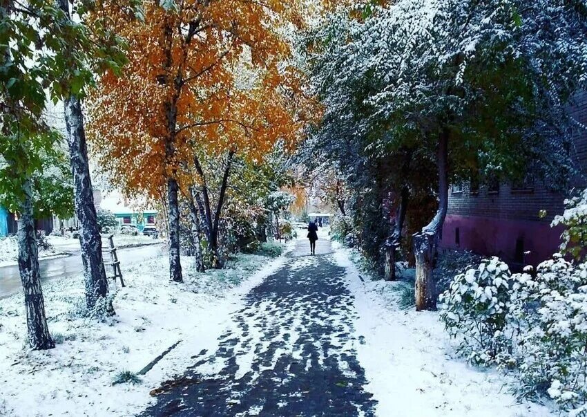 Первый снег в городе. Первый снег Бердск. Город припорошен снегом. Первый снег в Новосибирске.