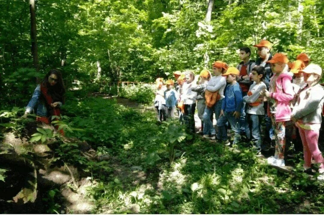 Экскурсия на природу. Экскурсии дошкольники экологическое. Экскурсия по экологической тропе. Туризм в детском саду. Экологическое воспитание.
