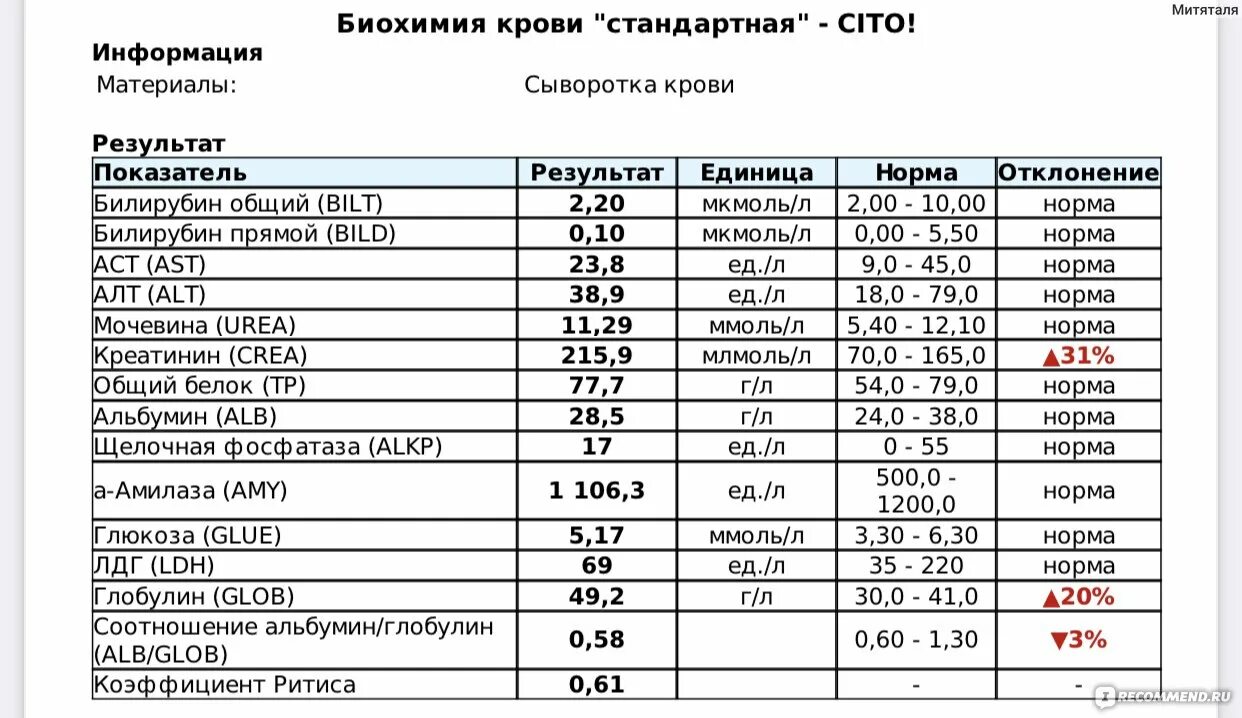 Общий и биохимический анализ крови разница. Щелочная фосфатаза остеопороз. Норма щелочной фосфатазы. Щелочная фосфатаза у беременных 3 триместр. Щелочная фосфатаза повышена что это значит у взрослого.