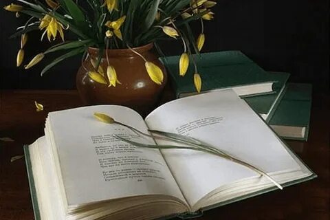 Поэзия книги
