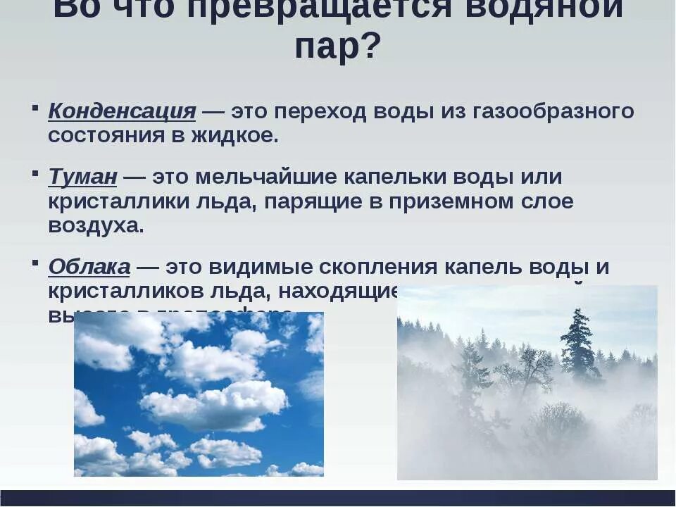 Туман это газообразное состояние воды или жидкое. Туман это какое состояние воды. Вода в газообразном состоянии туман. Газообразное состояние воды. Туман в каком состоянии находится вода