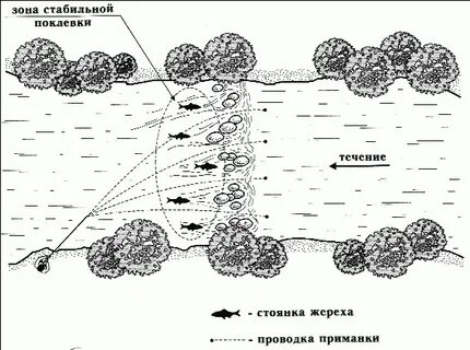 Зона лова рыбы