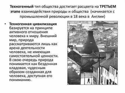 Техногенное общество