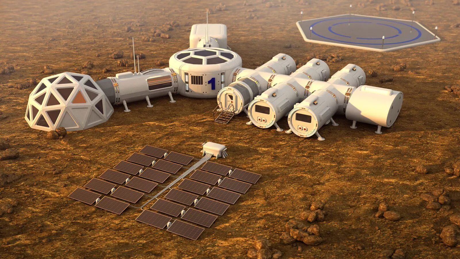 D mars