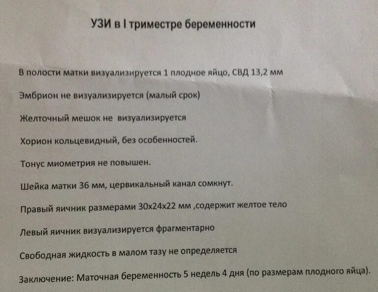 УЗИ 5 6 недель беременности показатели. Нормы УЗИ 5-6 недель беременности. УЗИ норма 6 недель. УЗИ беременность 5 недель показатель. Не видно плодного яйца на 5 неделе