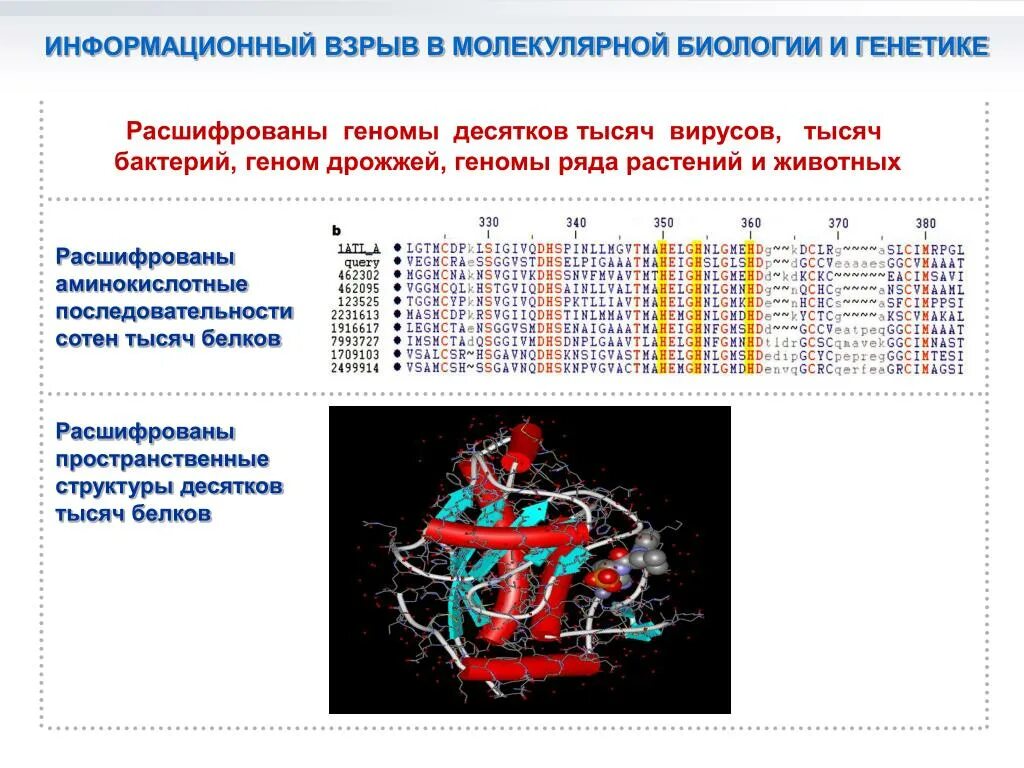 При расшифровке генома моркови 20. Данные молекулярной биологии. Геном это в молекулярной биологии. Молекулярная генетика это в генетике. Методы молекулярной биологии и генетики.