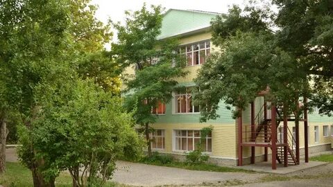 Лагерь медвежонок
