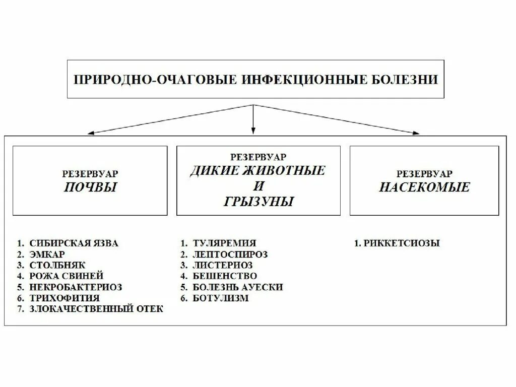 Примеры природных очагов. Природно-очаговые инфекции перечень. Природно-очаговые заболевания список. Природно-очаговое заболевание перечень. Классификация природно очаговых инфекций.