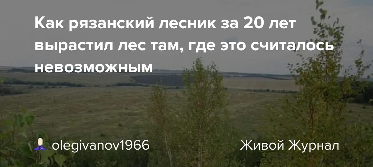 Не может быть равнодушия в лесных делах. Растим лес. Лесник,место ,где растет лес.