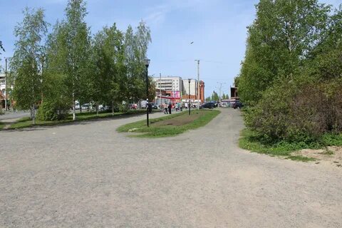 Березовая аллея петрозаводск