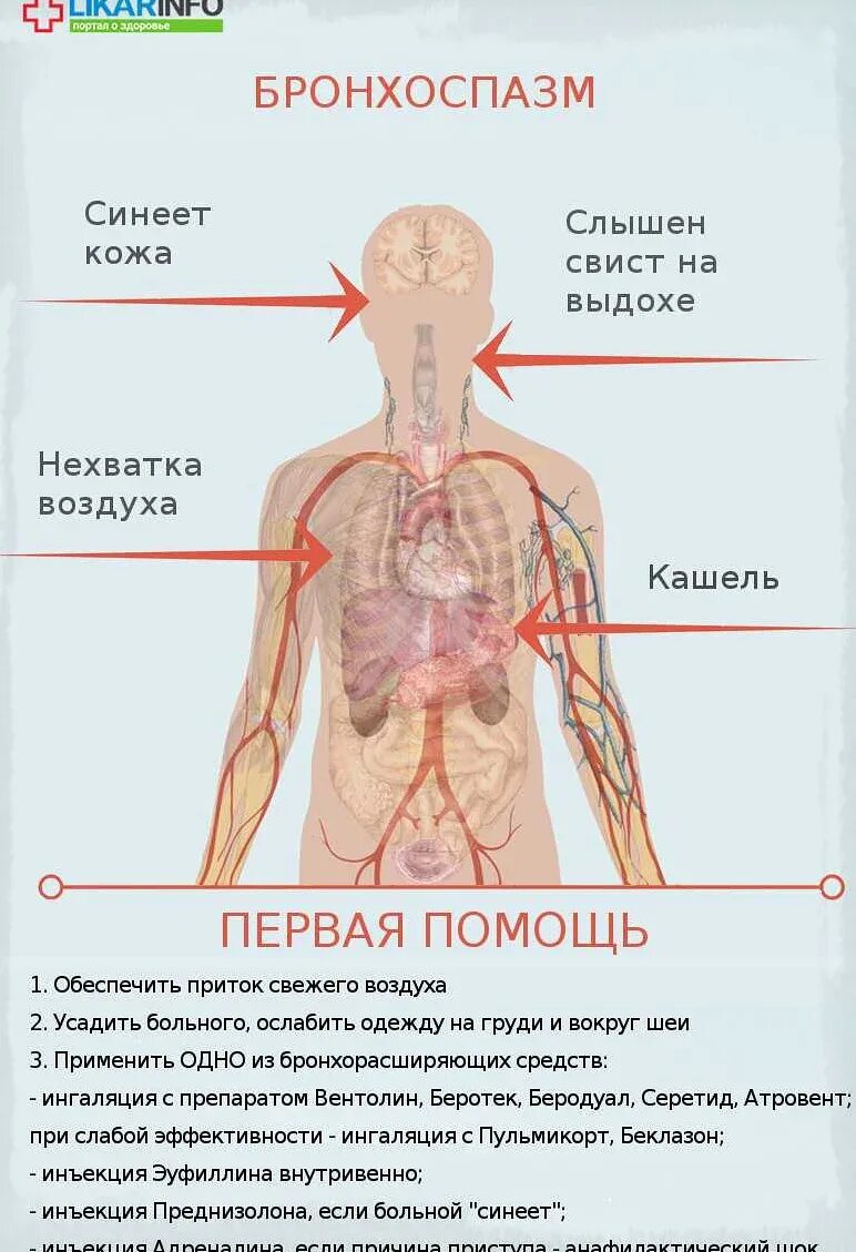 Тепловой удар. Признаки солнечного уда. Признаки солнечного удара. Проявления теплового удара.