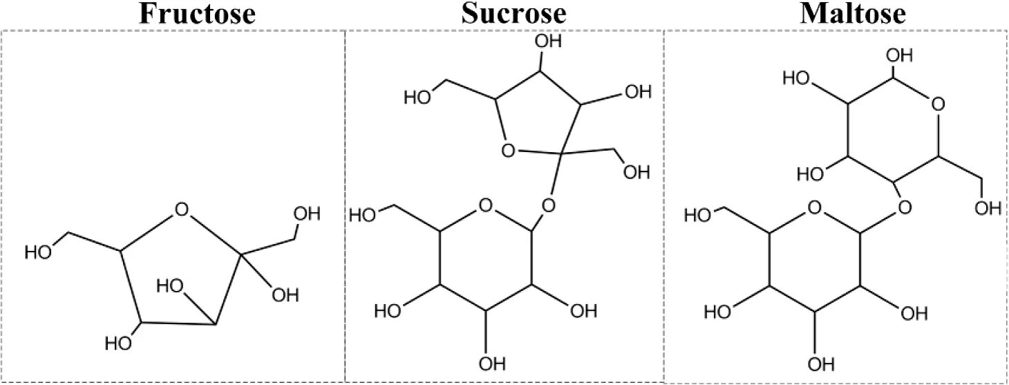 Sucrose structure. Structure of Maltose. Геншин sucrose. Sucrose формула. Банан фруктоза