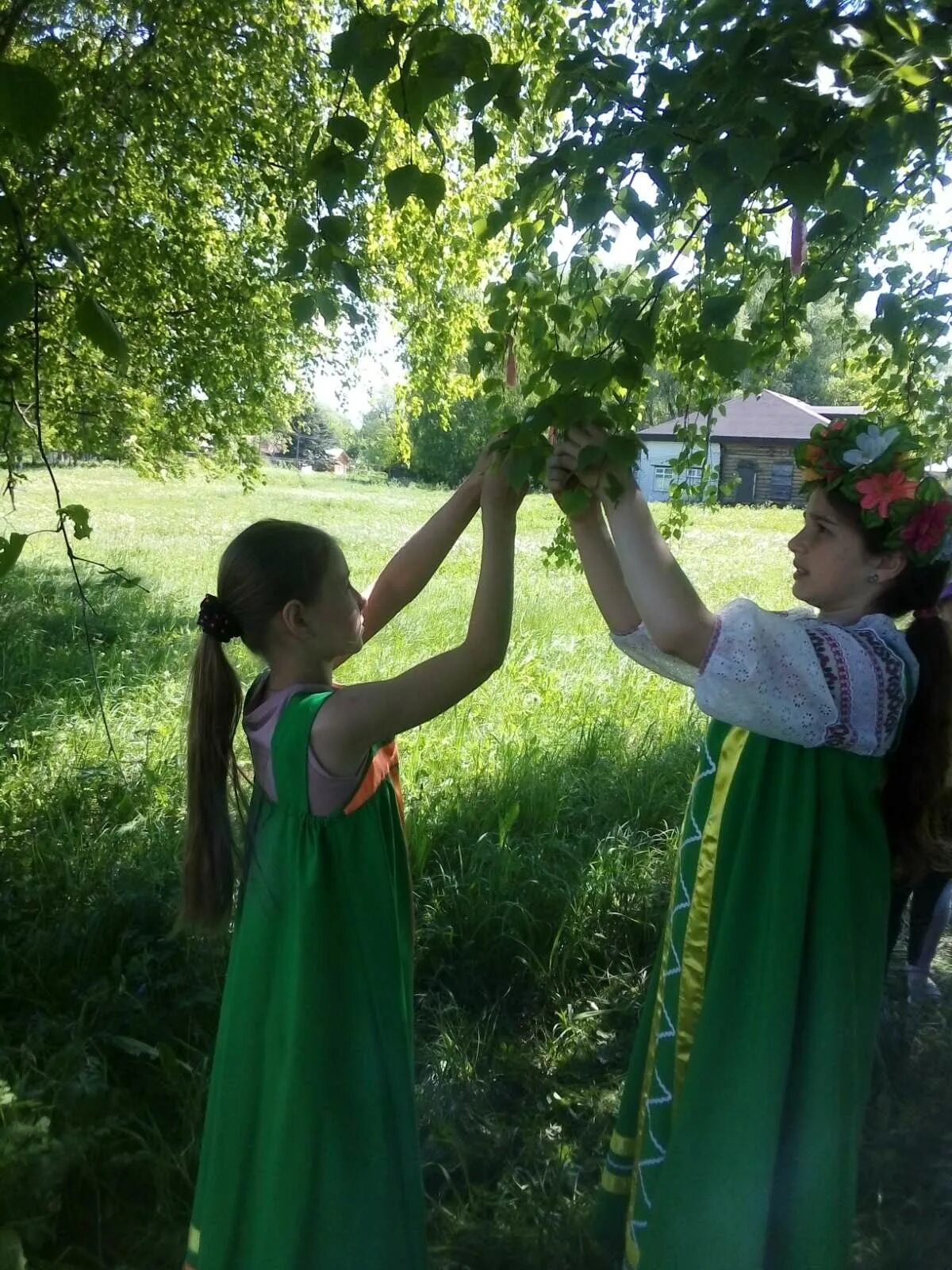 Троица березка. Береза Троица зеленые Святки. Обряд завивания Березки. Семик и Троица. Завивание Березки на Троицу.