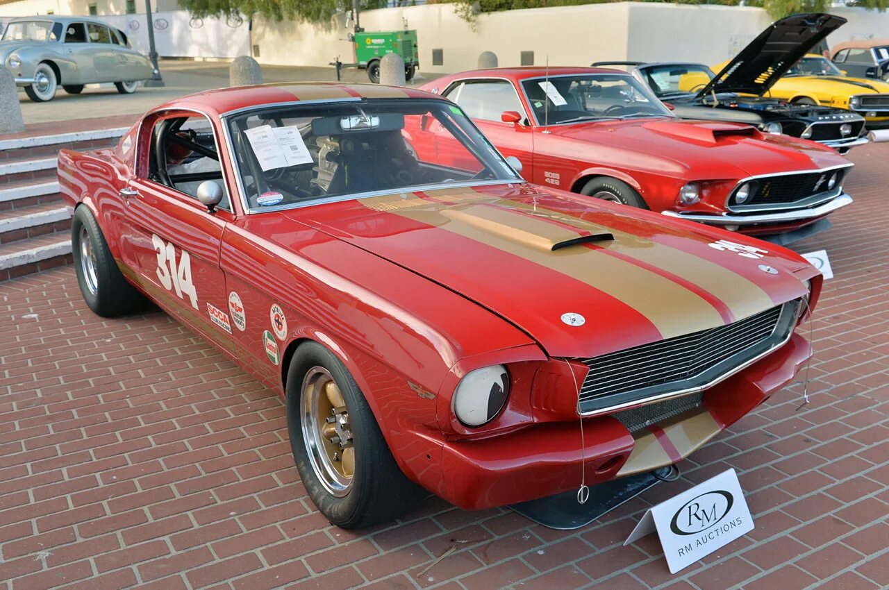 мустанг мозырь