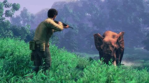 Wildlife videos
