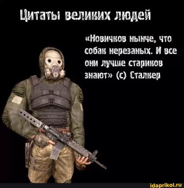 Цитаты наемников. Сталкер фразы. цитаты из сталкера. сталкер цитаты. wbfns bp cnfkrthf.