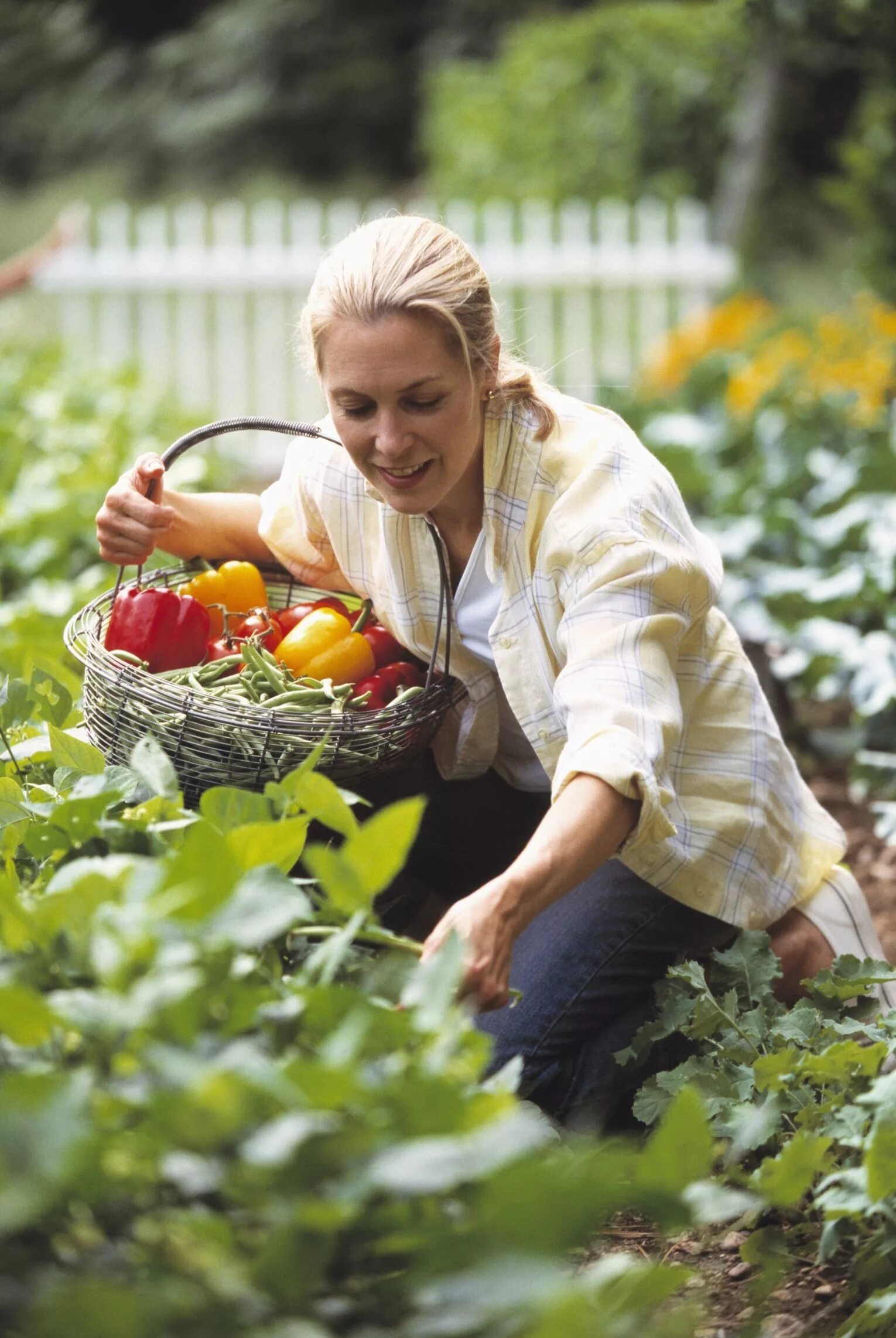 Working in the country