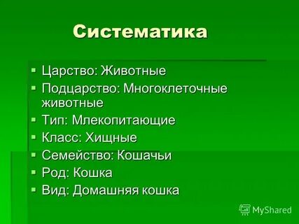 4 систематики животных