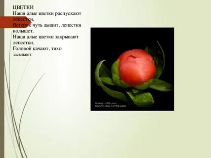 Песня алые яблоки