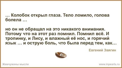 Никакого внимания