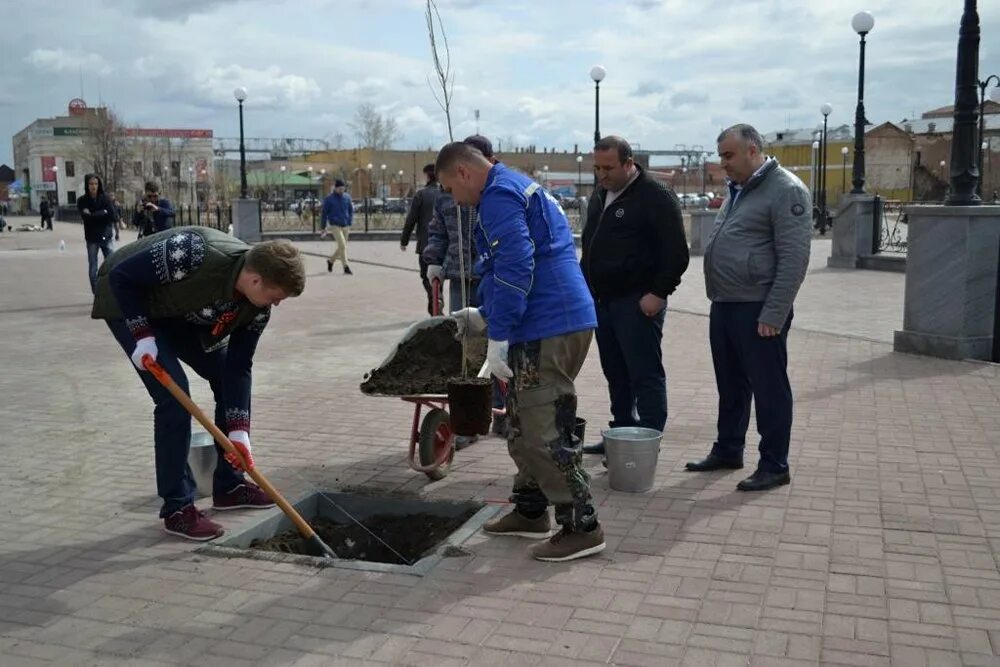 Электросети троицк челябинская область. МУП электротепловые сети Троицк Челябинской области. Директор Троицкой ГРЭС. Сквер памяти Троицк Челябинская область.