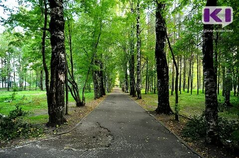 Мичуринском парке