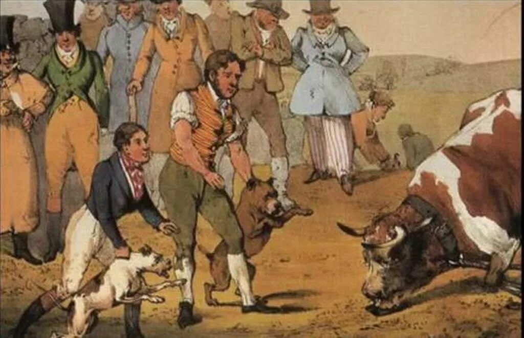 старые травли