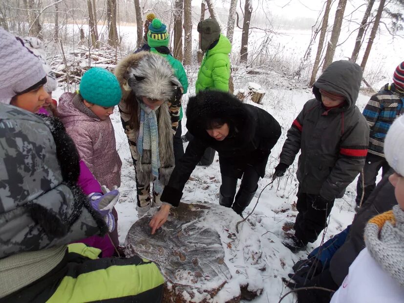 экологическая зима