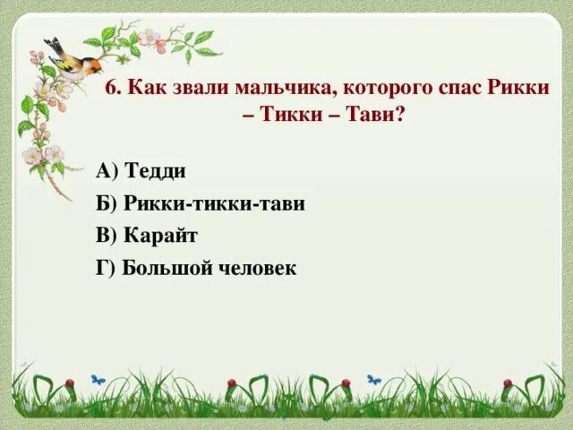 Соседку по дому рикки тикки тави. Кто такой Рикки-Тикки-Тави ответ. План по сказке Рики Тики Тави. Как зовут соседку в Рики Тики Тави. План сказки Рики Тики Тави.